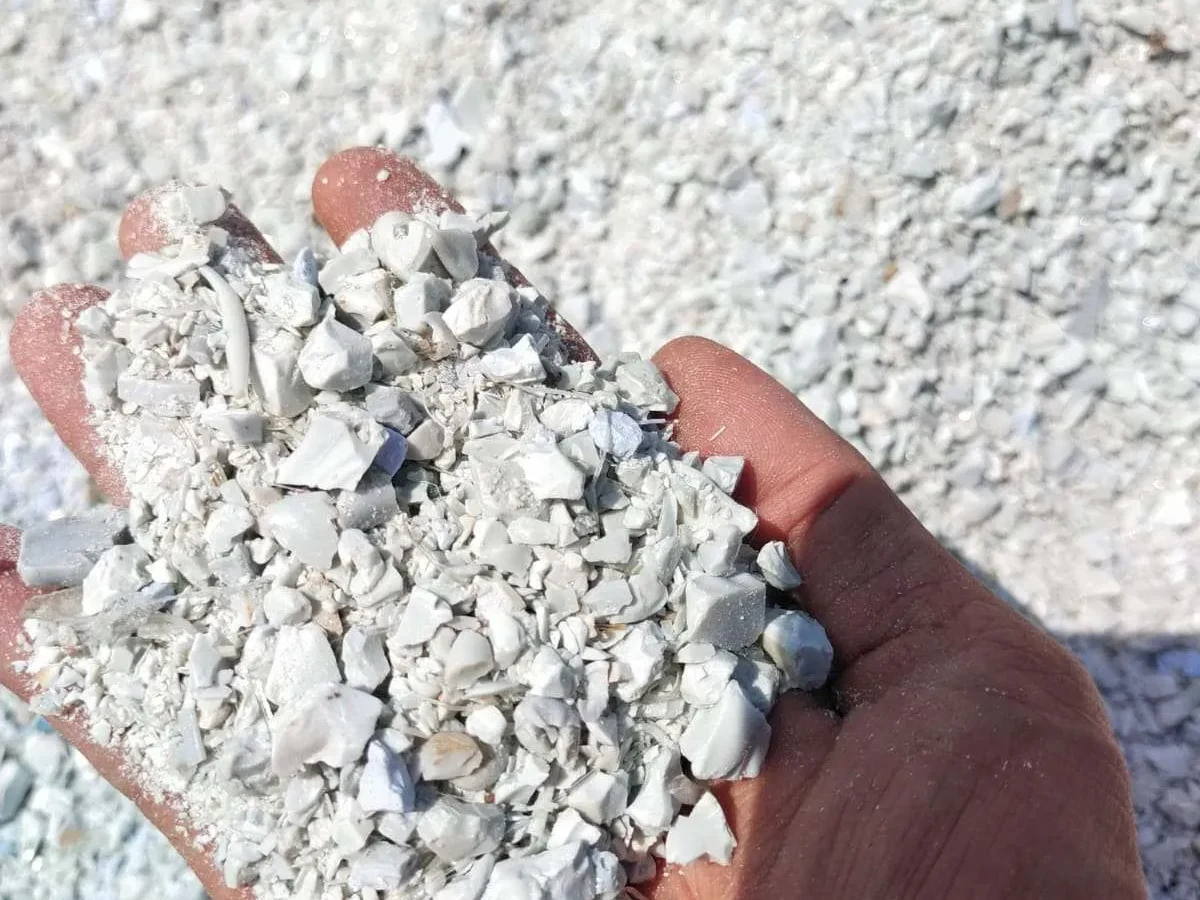 Uniform PET regrind produced by the plastic crusher