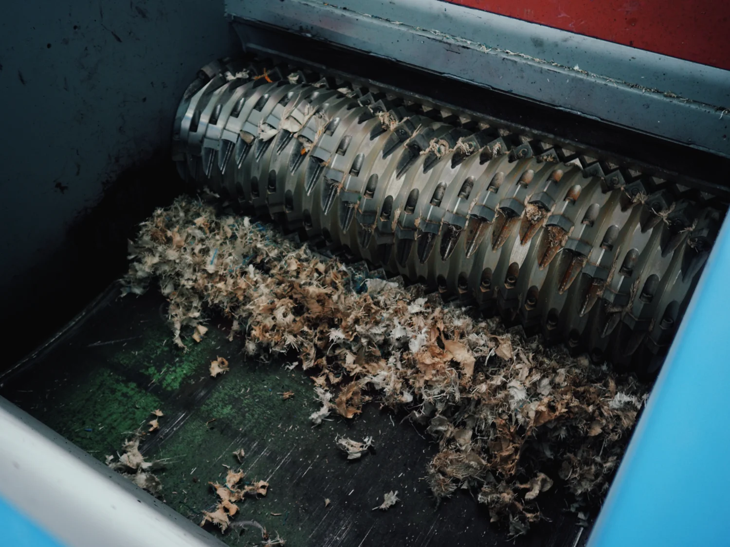 Shredder rotor with indexable square knives cutting material in the chamber